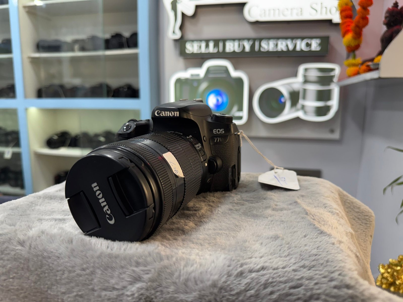 IMG_8060 Canon EOS 77D - Image 1