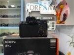 Sony Alpha A7S III - Image 5